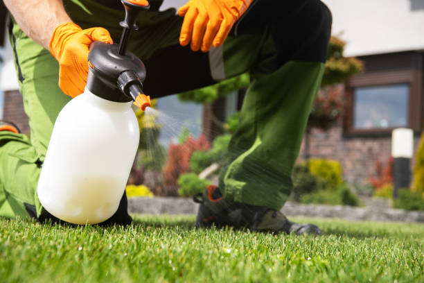 Best Emergency Pest Control  in Kentwood, LA