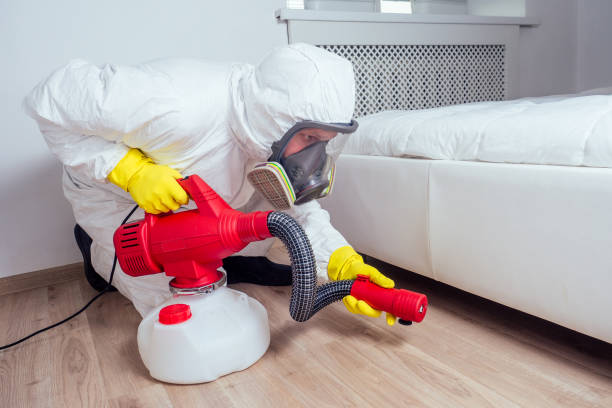 Best Wasp Removal Services  in Kentwood, LA