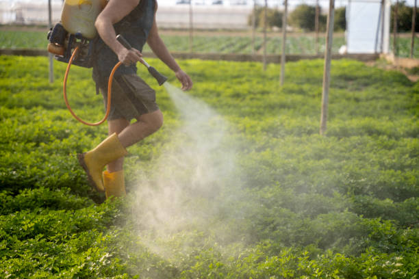 Best Affordable Pest Control Services  in Kentwood, LA