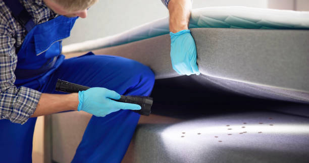 Best Emergency Pest Control  in Kentwood, LA