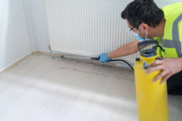 Best Cockroach Control Services  in Kentwood, LA