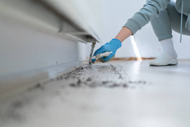 Pest Control Cost in Kentwood, LA